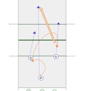 3-Player Over the Net Pepper